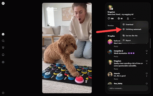Sora 2 Video Downloader - zData.vn :: Cung cấp các tính năng như tải xuống không watermark, chỉnh sửa tham số video, v.v.