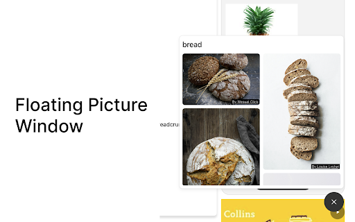 Picture Dictionary :: See the words you look up.