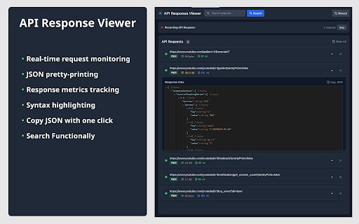 API Response Viewer :: Captures, formats, and displays API responses in a clean interface for easy debugging and analysis of web applications.