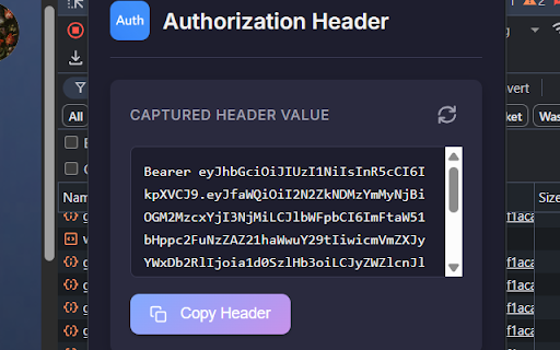Get Authorization Token :: Fetch and copy the Authorization token from website requests