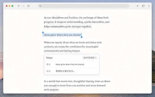 Tokeyn :: A practical web assistant for translation, browsing productivity, and everyday page actions