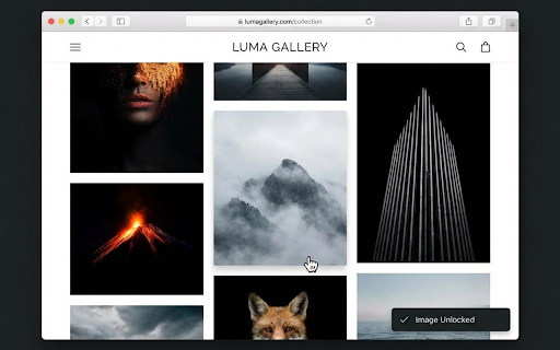 Image Saver Pro :: Copy and download images from any website with one right-click