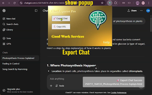 ChatExporter Pro :: Export AI chats as HTML from ChatGPT, Gemini, DeepSeek. Includes UI tools and keyboard shortcuts.