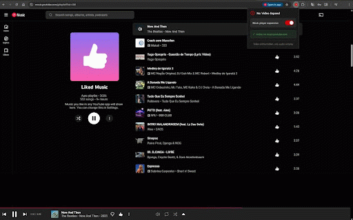 YouTube Music - No Video Expand :: Keeps the mini player always visible on YouTube Music. Blocks automatic video player expansion.
