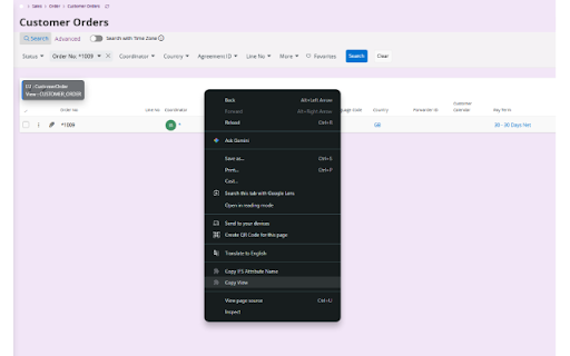 IFS View Finder – Vihanga W :: Displays the IFS View name when hovering over supported UI components.