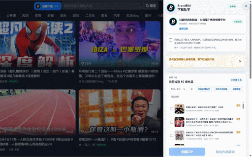 BrandBAI 采集大师 :: 多平台公开内容与商品资料采集工具:适配抖音、TikTok、小红书、天猫/淘宝及微博,仅整理当前账号可访问的公开内容。