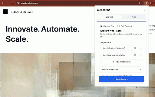 Webscribe by BobNinja :: Save web pages as clean markdown or text. Perfect for offline reading, AI assistants, and documentation research.