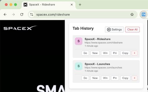 Tab History Tracker :: Tracks browsing history for each tab individually.
