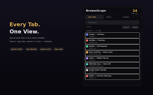 BrowseScope — Tab & History Insights :: View all open tabs, browse history, and get AI-powered insights on your browsing patterns.