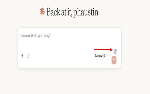 Privacy Shield: Blur & Redact :: Blur anything on any site, scrub secrets before AI. One-time license. 100% local.