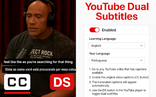 YouTube Dual Subtitles :: Display dual language subtitles on YouTube videos