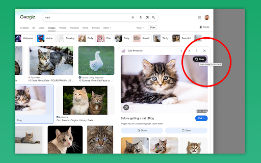 One-Click Copy Image :: Copy images directly from Google Images with one click