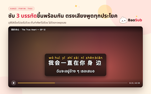 BaoSub :: Chinese to Thai subtitle overlay with Pinyin support.