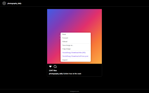 SocialSnag :: Download full-resolution social media from direct post links or the right-click menu.
