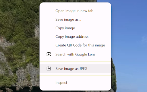 WebP to JPEG Converter :: Adds a context-menu item to save WebP images as JPEG
