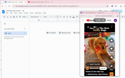 Window sticky tool :: Pin any web page in picture-in-picture mode