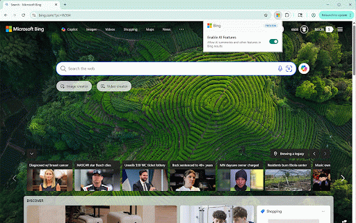 Microsoft Bing AI Search Choice :: Set Bing as your default search provider and open Bing on every new tab. Control AI summaries and other features in Bing results.
