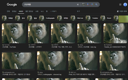 image fuck you :: 친구의 컴퓨터 크롬 브라우저에 뜨는 모든 사진을 뻑유 고릴라로 바꿔버리는 !