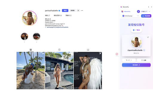 WaveInflu :: Discover Instagram Youtube and Tiktok creators effortlessly!