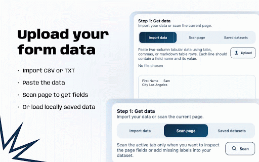 Autofill Custom Forms :: Paste or upload structured data, review it, and prepare it for form autofill.