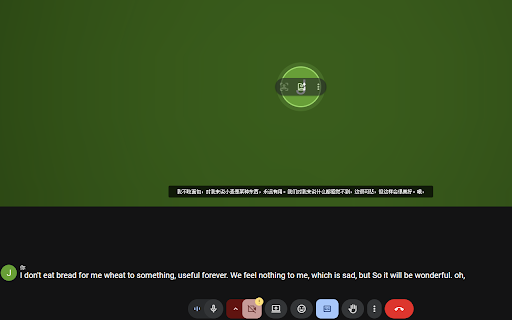 沉浸式翻译会议字幕助手 :: 将谷歌会议的沉浸式翻译字幕显示在浮动窗口中