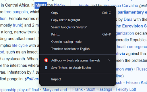Vocab-Bucket :: Lets users save highlighted words on a web page and automatically fetch their meanings