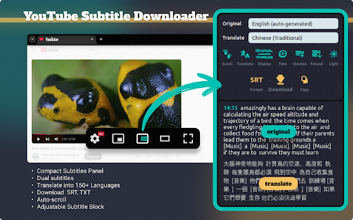 YouTube Subtitle Downloader :: Youtube Subtitle Downloader: download subtitles from YouTube easily. Extract, copy or download with the youtube subtitle downloader