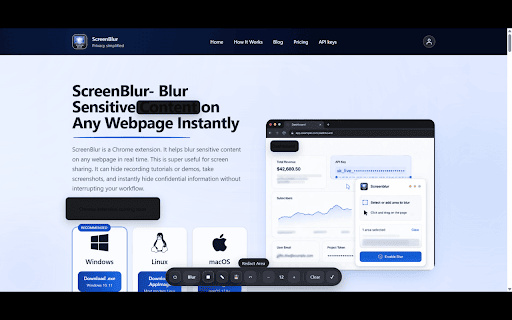 ScreenBlur :: Blur selected regions of any webpage.