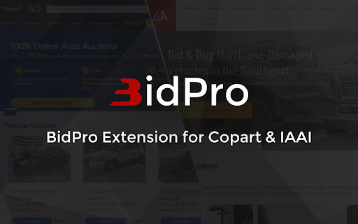 BidPro :: Copart & IAAI Accounts Access Management and Control Service For Your Business
