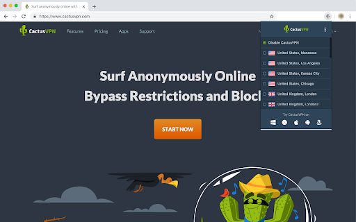 CactusVPN - VPN and Smart DNS services :: Hide your IP address and bypass blocks and restrictions