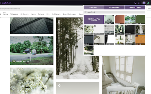 Image Grabber :: Instantly find and download every image on any page. One click per image, or grab them all as a ZIP.