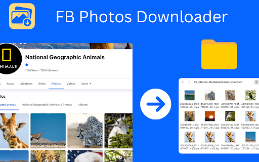 FB Photos Downloader :: One-click Facebook photo downloader for albums, profiles & groups. Fast, private, and easy to use. Save images instantly.