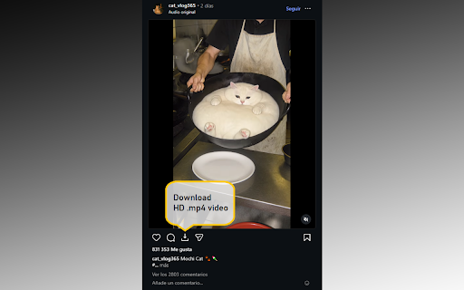 IG Downloader Minimal :: Minimal Instagram HD video downloader with FFmpeg support - video posts and reels supported