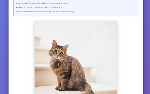 Image Zoom :: Zoom and pan images with mouse-centered controls. Hold Ctrl + scroll to zoom, click and drag to pan, double-click to reset.