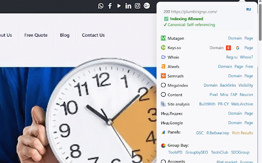 Noindex & Redirect Checker: SEO services :: Quick SEO links and indexing status checker