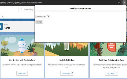 Salesforce Easy Profile CRUD :: Salesforce Easy Profile CRUD