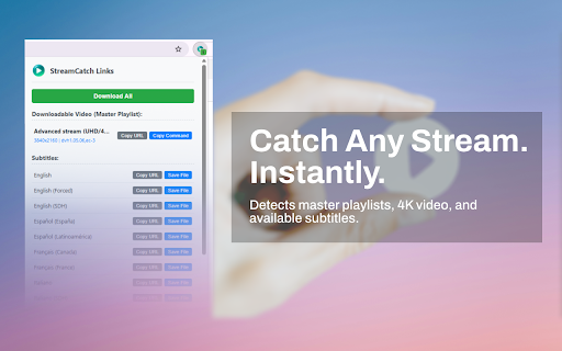 StreamCatch :: Catches M3U8 manifest and subtitle links (VTT, SRT) from network requests on user-allowed sites.