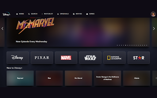Disney+ Spoiler Duster :: Hides spoilers in Disney+ including titles, descriptions, cover art and thumbnails.