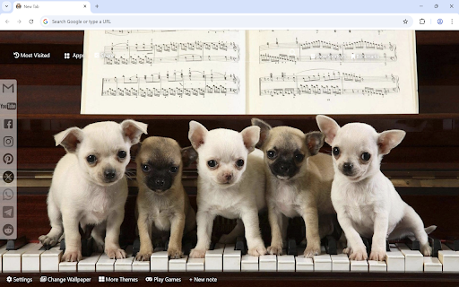 Chihuahua Wallpaper :: Chihuahua Wallpaper turn new tab to custom HD Chihuahua background. Chihuahua Wallpaper theme created for dog fans.