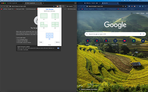 PanePro - Split Screen Layouts :: Resize your tab and the ones to its right into separate, organized windows