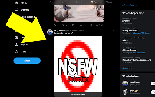Apolo Protector :: Extensión para streamers que mantiene su timeline de Twitter libre de contenido inapropiado. Experiencia segura en tiempo real.