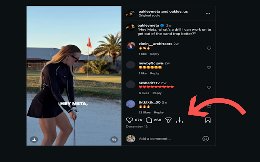 InstaLoader :: Download videos and images in one click from Instagram, X, Facebook and Reddit. Reddit videos keep their sound.
