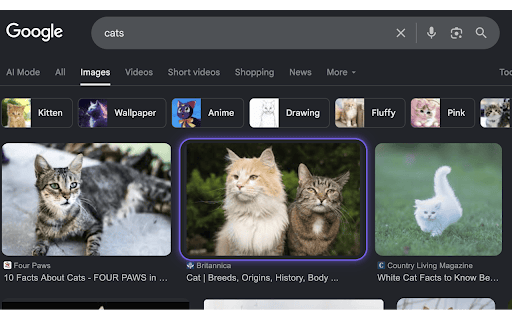 Navigator :: Alt-layer keyboard navigation for the modern web