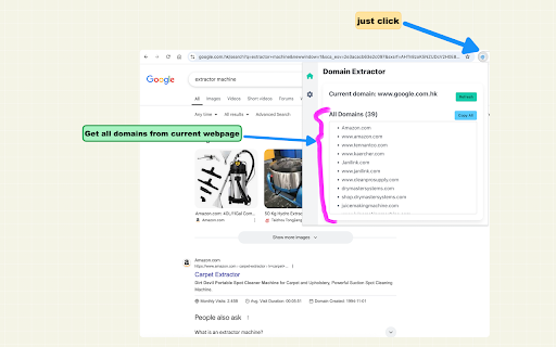 Domain Extractor :: Extract and collect all domain names and subdomains from any webpage