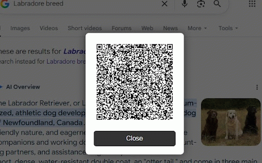 QR Code of Current Page :: Generate a QR code of the current URL using a hotkey.