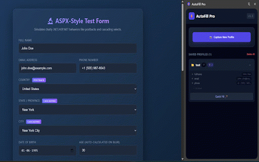 AutoFill Pro :: AutoFill Pro: The ultimate form filler for developers & QA. Automate data entry, replay complex form states, and speed up testing.