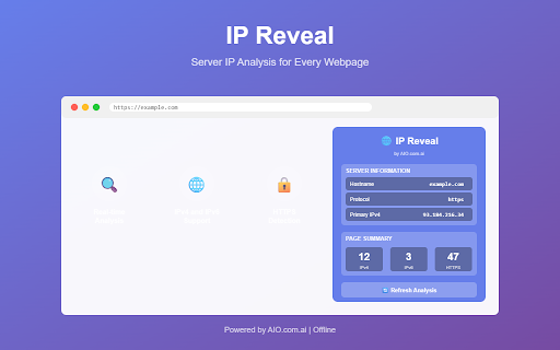 IP Reveal :: Display server IP addresses with IPv4, IPv6, and HTTPS element analysis for any webpage