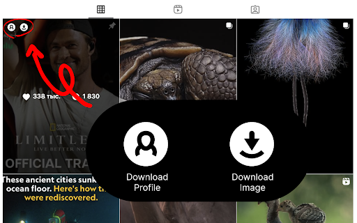 Inflact Downloader for Instagram :: The Inflact Downloader lets you download Instagram content from public accounts — Video, Photos, Reels, Stories, and Highlights.