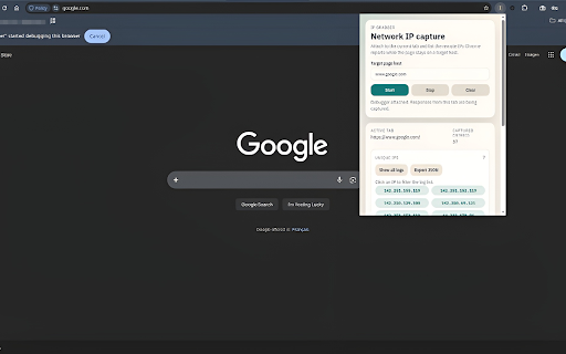 IP Grabber :: Capture resolved remote IPs for requests made while a target site is loaded.