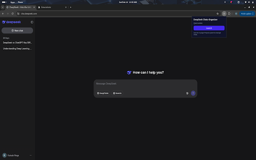 DeepSeek Chats Organizer :: Group DeepSeek chats into local projects.